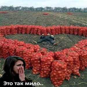 МПК потребовали от пронесшего российский флаг на открытии Паралимпиады Андрея Фомочкина покинуть Бразилию