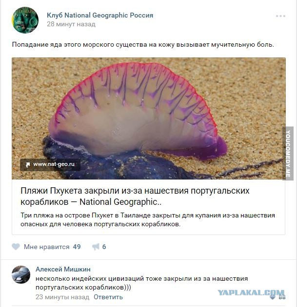 Ужасы и приколы из соцсетей 18+
