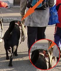 Рисунки узников Освенцима