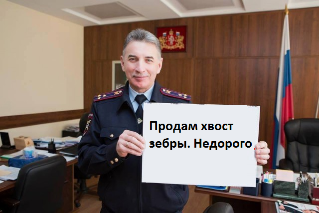 Полицию возмутили фотожабы на главного гаишника Юрия Дёмина