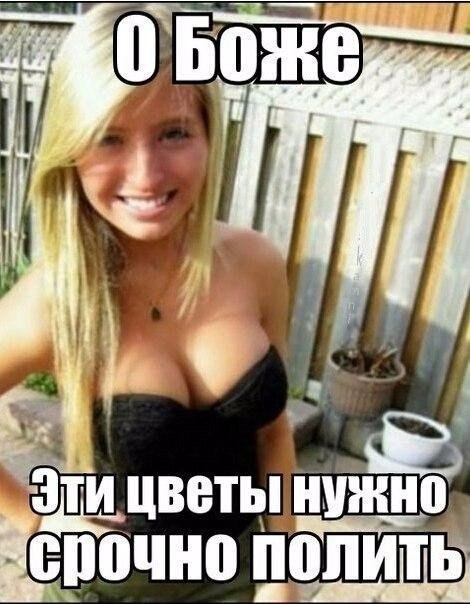 Подборка безудержного веселья