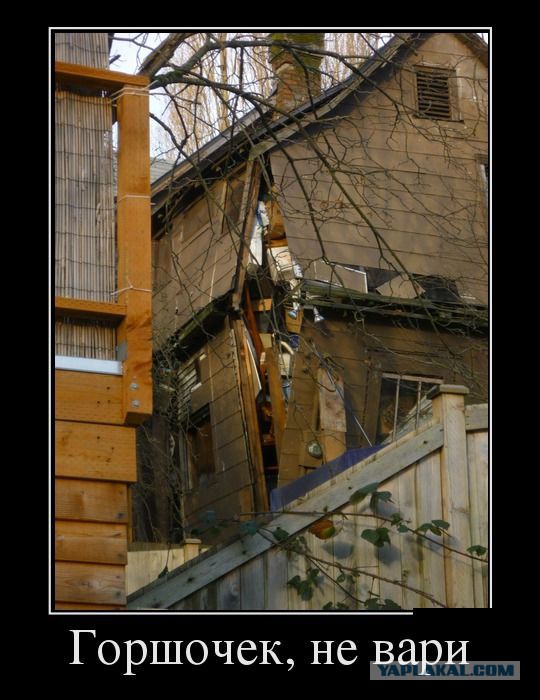 Баяны в чёрных рамках