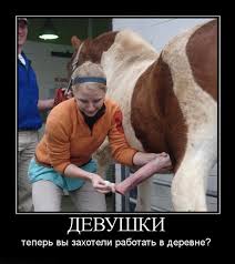 Подборка картинок с юмором "на любителя"