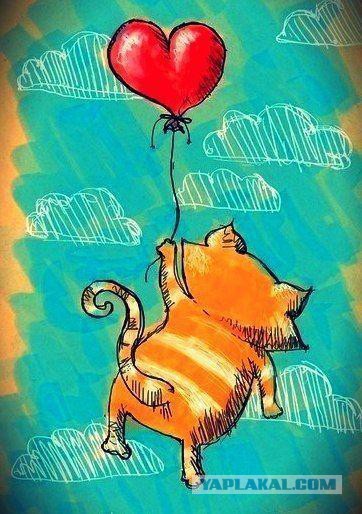 С Днем Рождения, ЯП! 14 лет