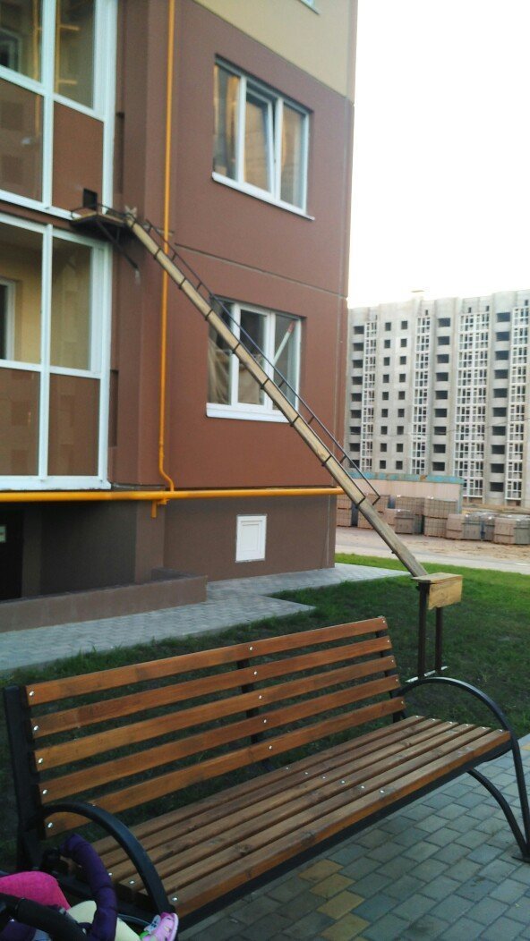 В Воронеже соорудили отдельный вход для кота в многоэтажку