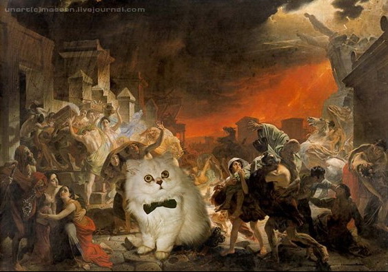 Котовторник: Кошки и ягнёнок