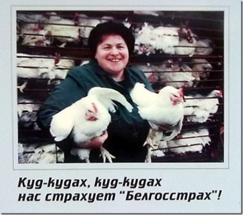 Люди, которым следует проводить лекции на тему "Удобно ли быть глупым"