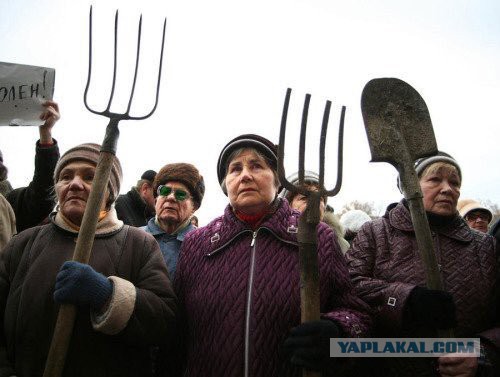 Набиуллина раскрыла подробности реформы пенсионных накоплений