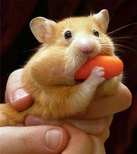 Застукали на месте преступления