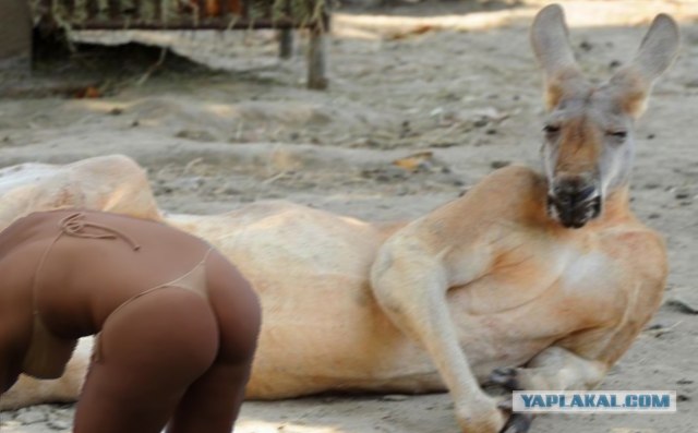 Крошка, иди ко мне