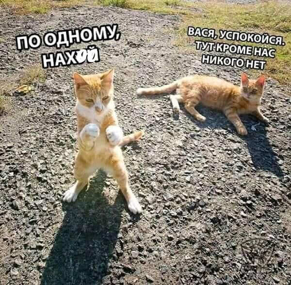 Женские манипуляции, которые нужно сразу же пресекать