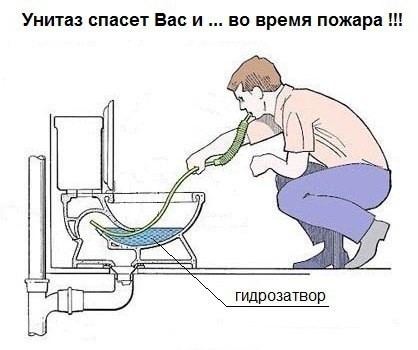 Дед дело говорит