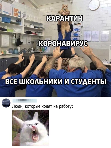 Вот как, так, родители?