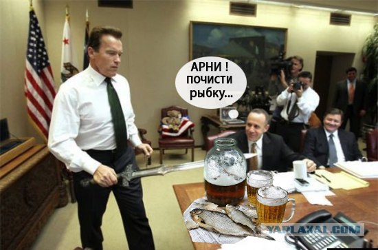 Подарок Терминатору