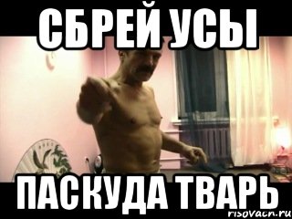 «У Путина нет никакого дворца в Геленджике!»: Песков назвал расследование ФБК «старой пластинкой»
