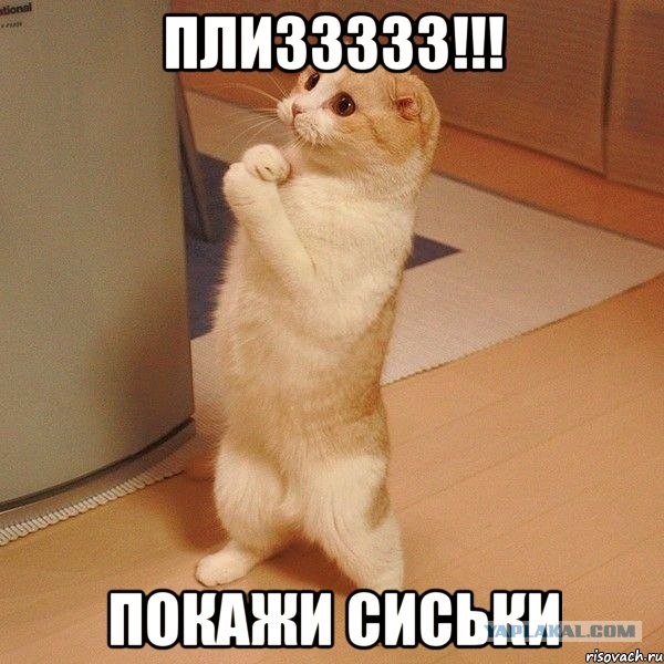 Хорошего всем Вам дня !
