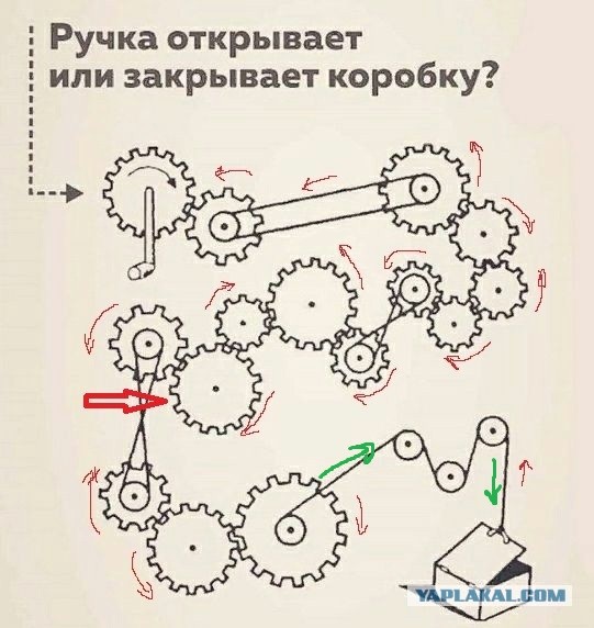 18 увлекательных фактов обо всём, которые приятно помассируют ваш мозг новыми знаниями