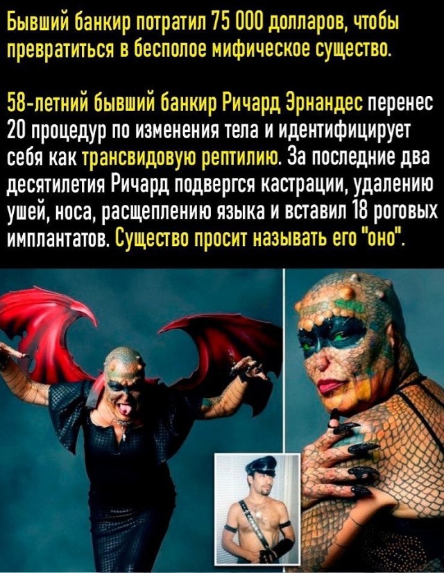 Насохранял