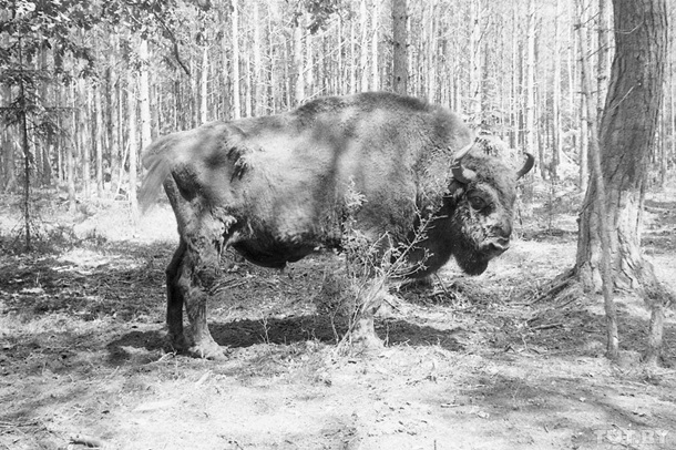 Житель Гродно купил советский фотоаппарат - а в нем оказалось плёнка с уникальными фото