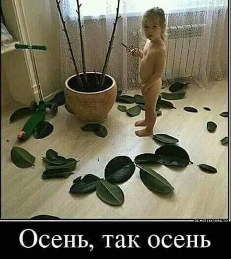 Так себе картинки 16.04.22