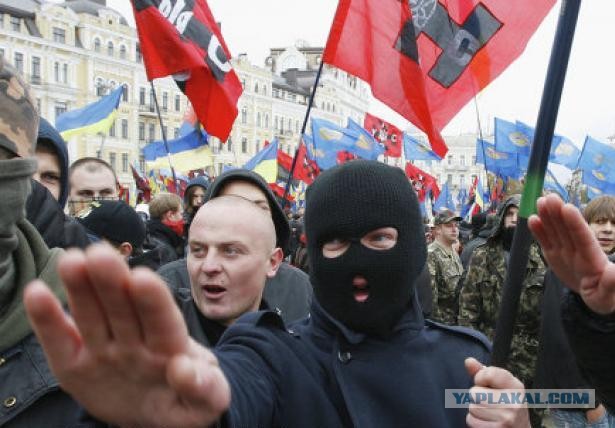 Директор транспортной компании, большегруз которой протаранил дом, объявил виноватыми жителей дома