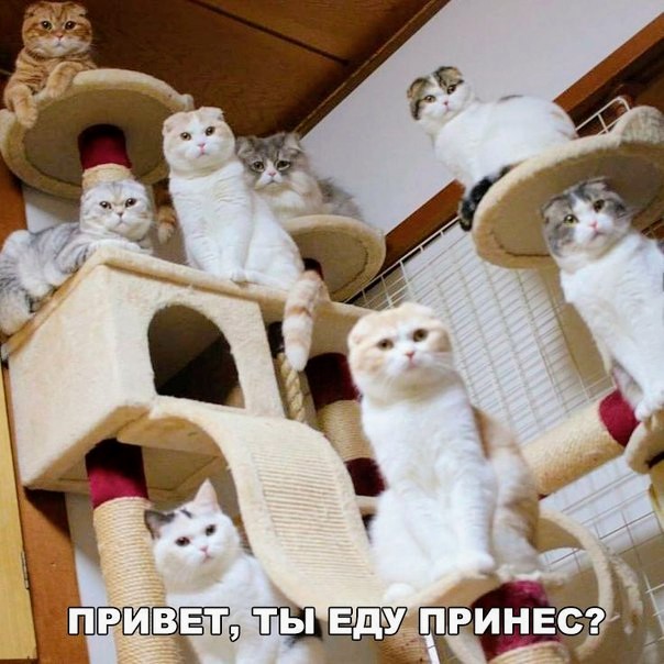 Картинки и мемы для настроения - 119