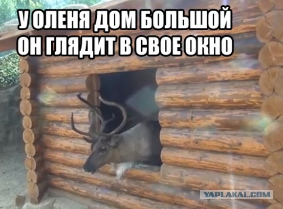Ушел от жены. Измены. Взгляд любящего мужчины