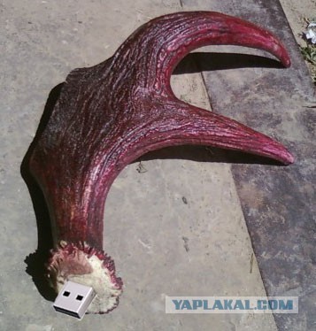 Вот такое хобби