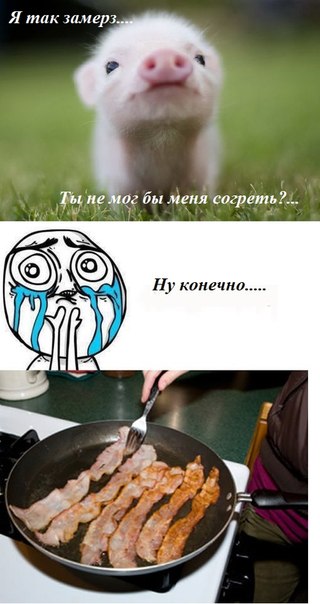 Гринпис