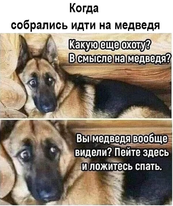 Так себе картинки 20.10.24