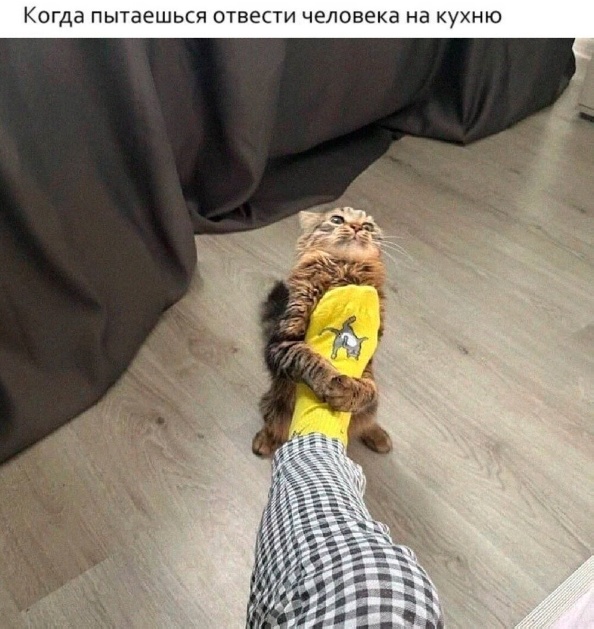 ФотоВинегрет