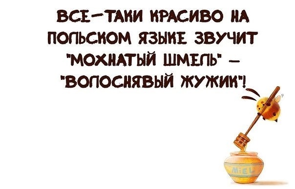 19600778.jpg