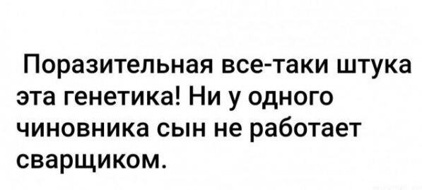 Так себе картинки 08.12.24