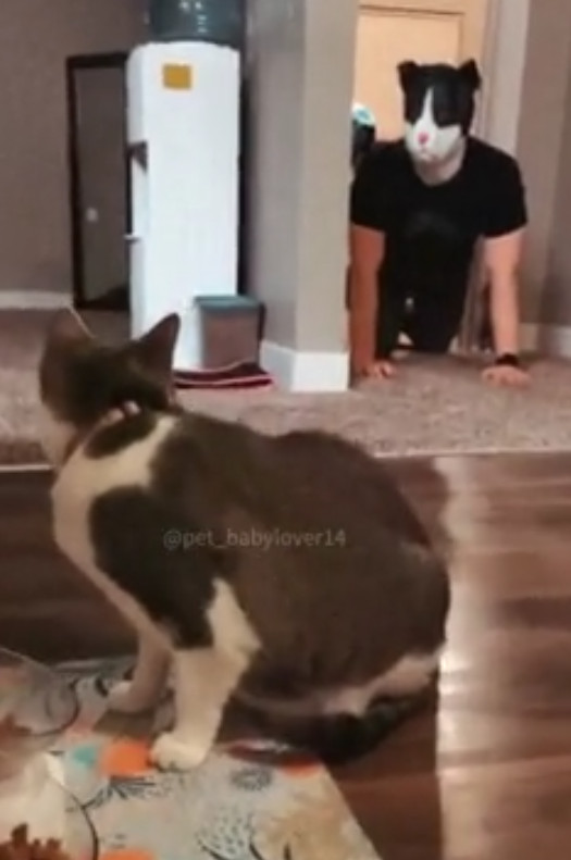 Бу!