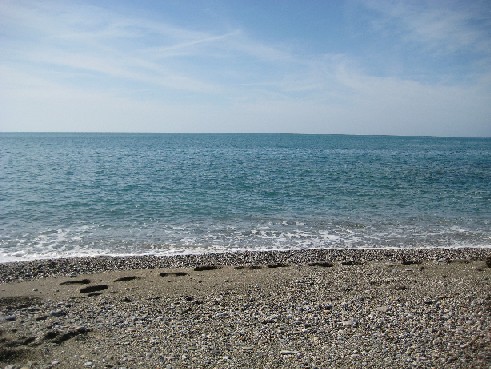 Россия за ...  Россию!