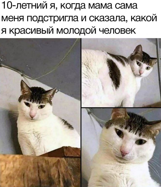 20272778.jpg