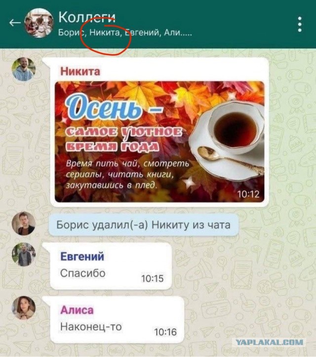 Вроде и жалко Никиту, а вроде — и на х@р пошёл он, действительно