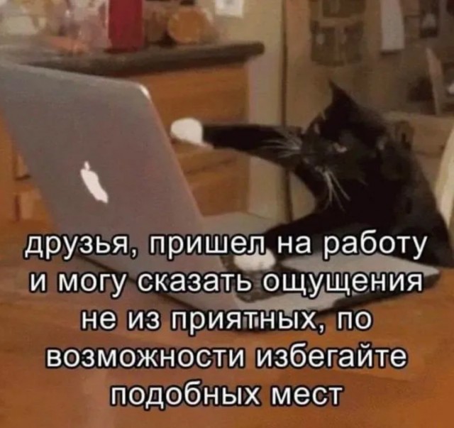 Хватит гулять!