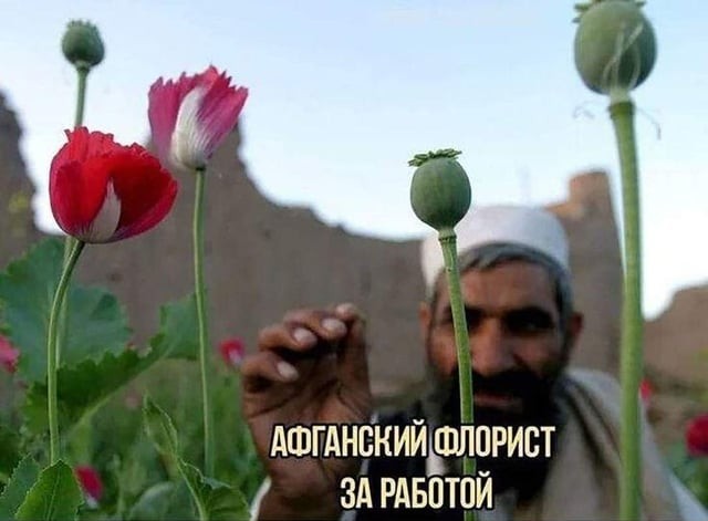 Смуглые мастера