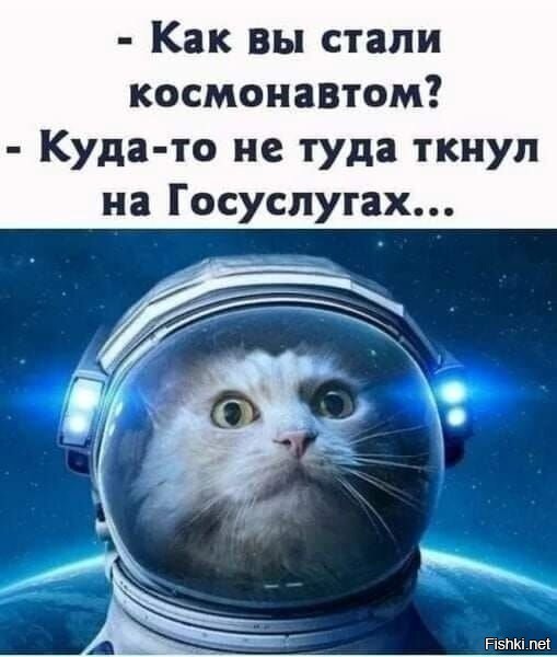 Субботние картинки