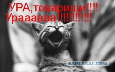 Автоэксперт Уткина: летающие машины появятся не раньше 2040 года
