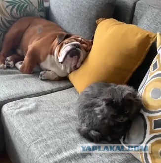 Пятничное настроение