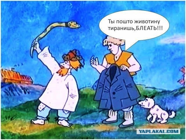 Ребёнок играл с собакой на поводке