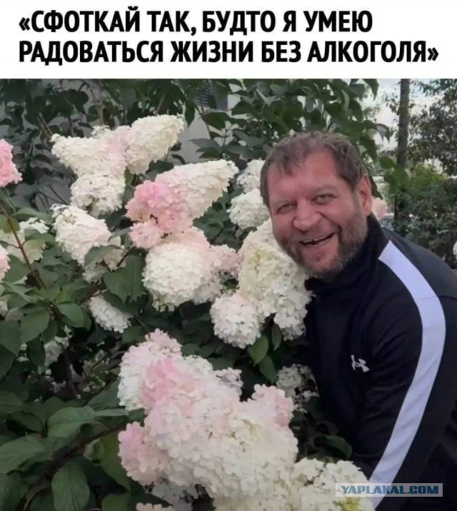 Питерский клуб бойцов