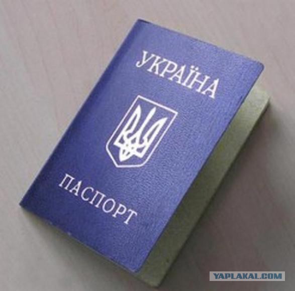 Беркут.