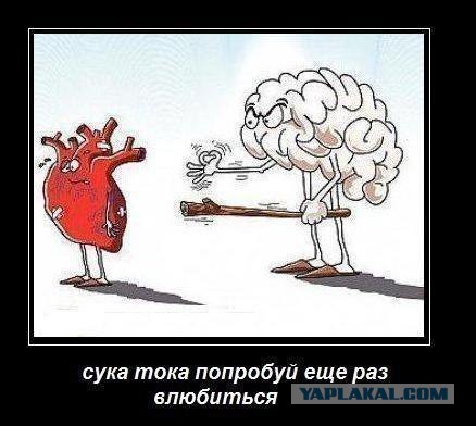 Всё новое — это хорошо забытое старое
