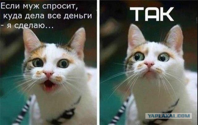 Поднимаем настроение