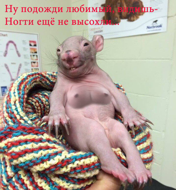 Когда вышел из парилки и понимаешь, что есть пивко