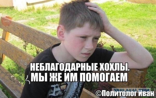 Подборка смешных комментариев.
