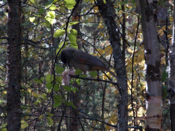 14 дней на Кольском полуострове